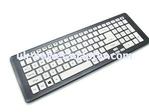 Gateway Acer Keyboard NK.I1713.07W